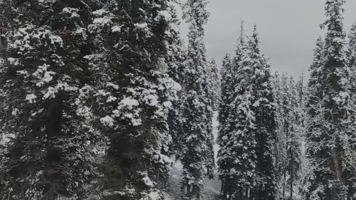 First snowfall in Gulmarg