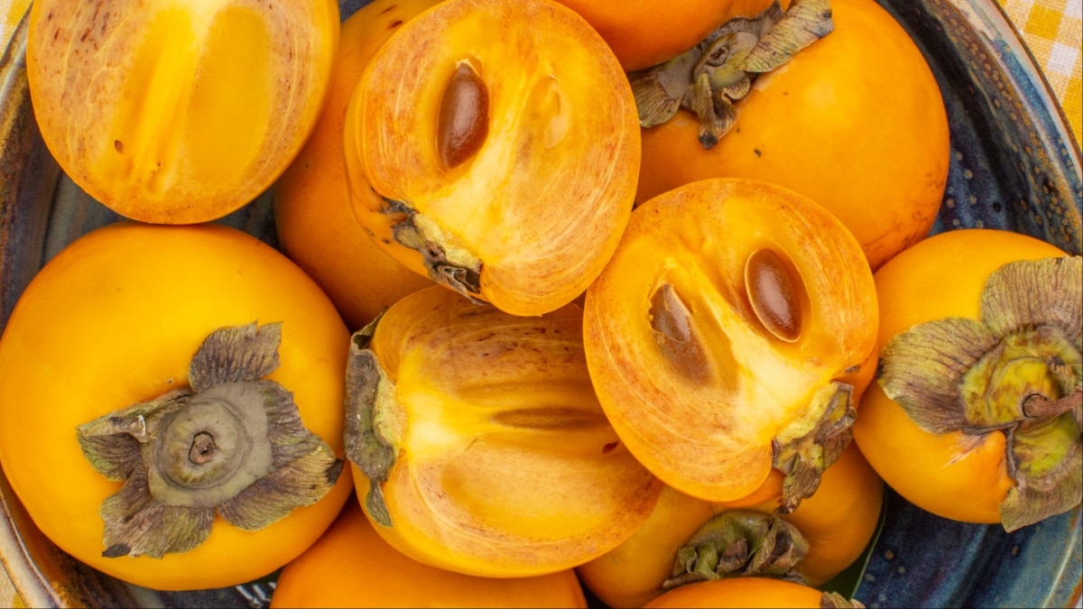 persimmon