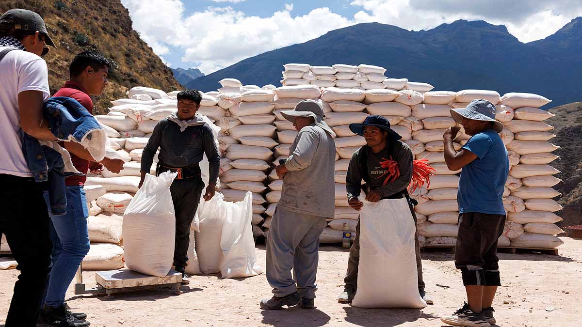 Peru Andes Salt Ponds
