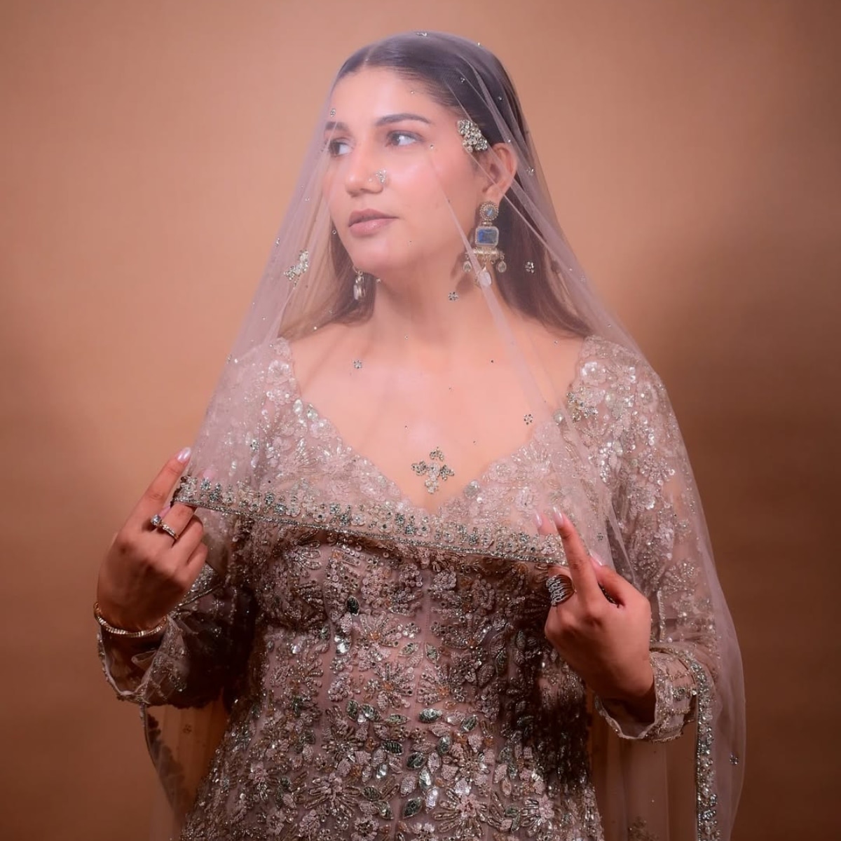 सपना चौधरी (Photo: Instagram @itssapnachoudhary)