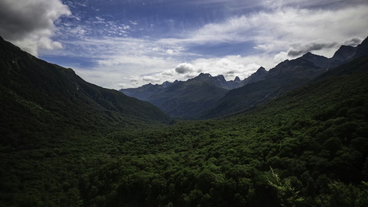 Simien Mountains National Park