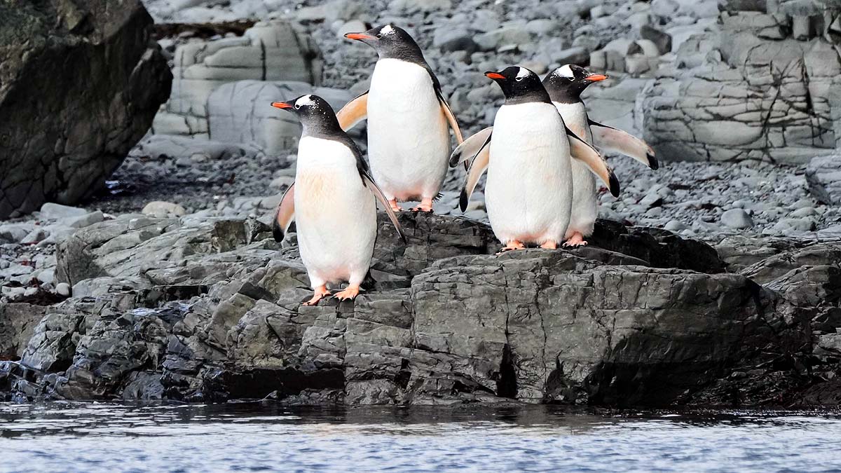 Antarctica Climate Change