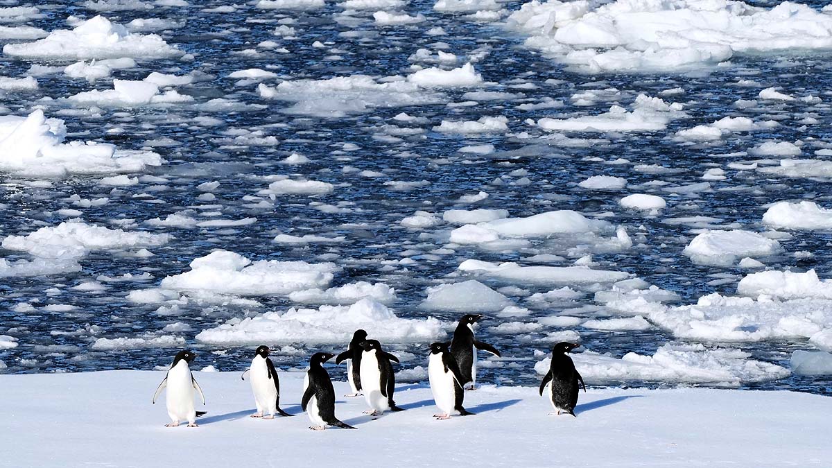 Antarctica Climate Change