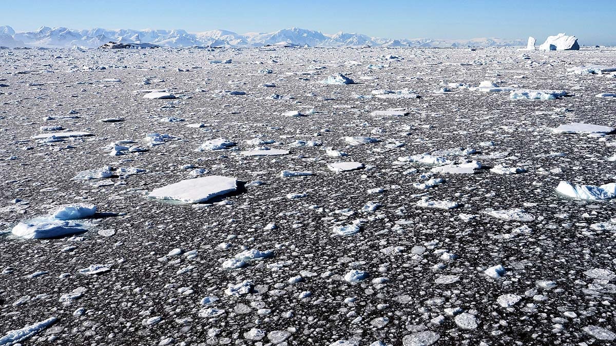 Antarctica Climate Change