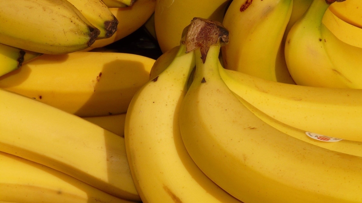 Bananas (Photo: Pixabay)