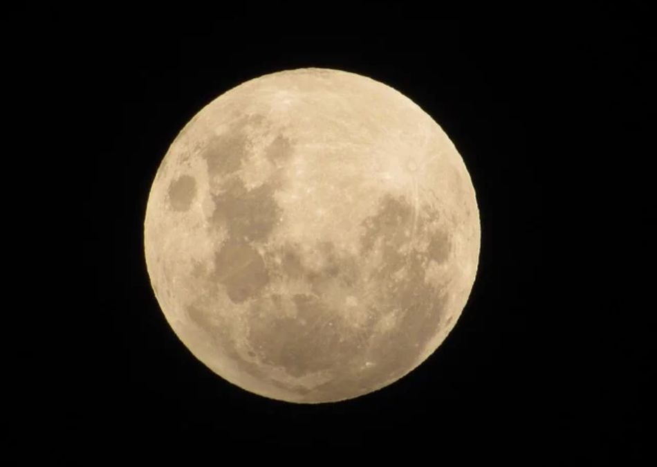 margshirsha purnima 2025