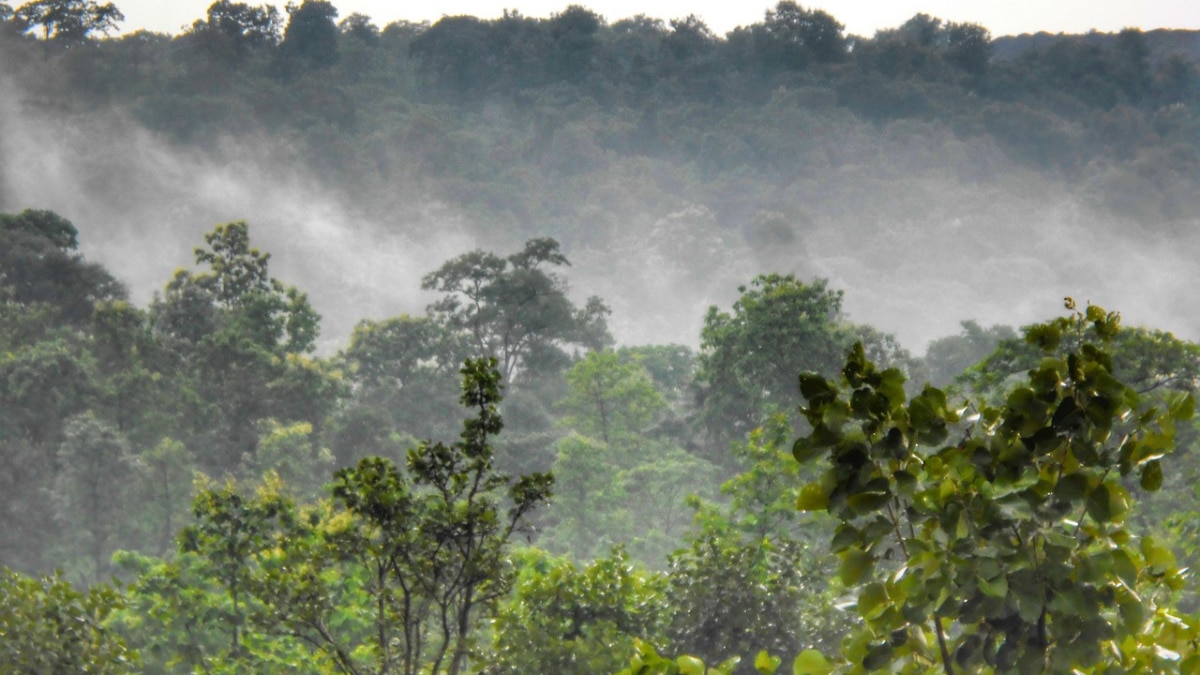 Chhattisgarh best city