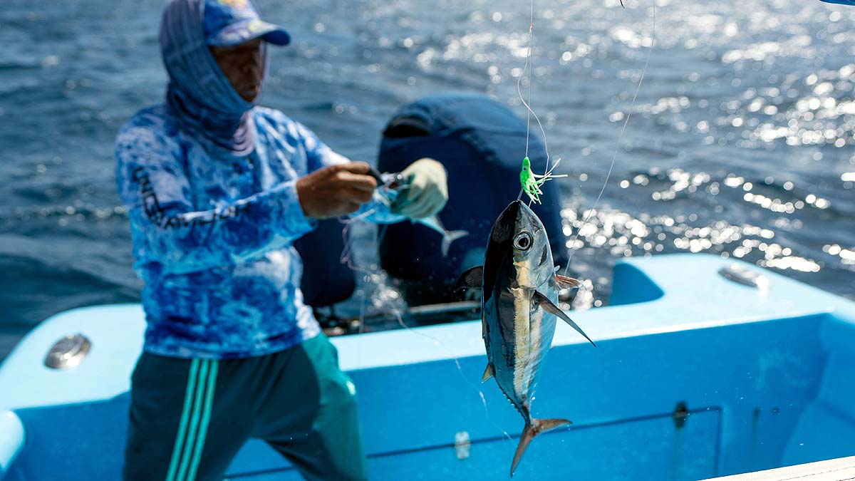 Coral Reef Restoration