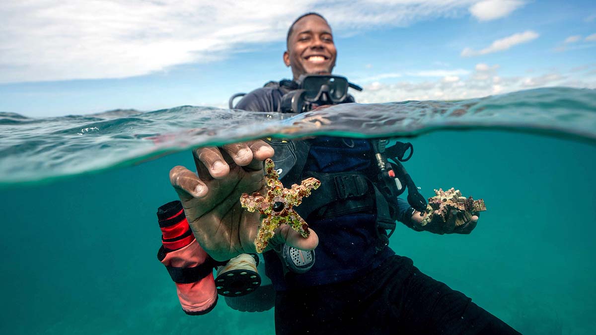 Coral Reef Restoration