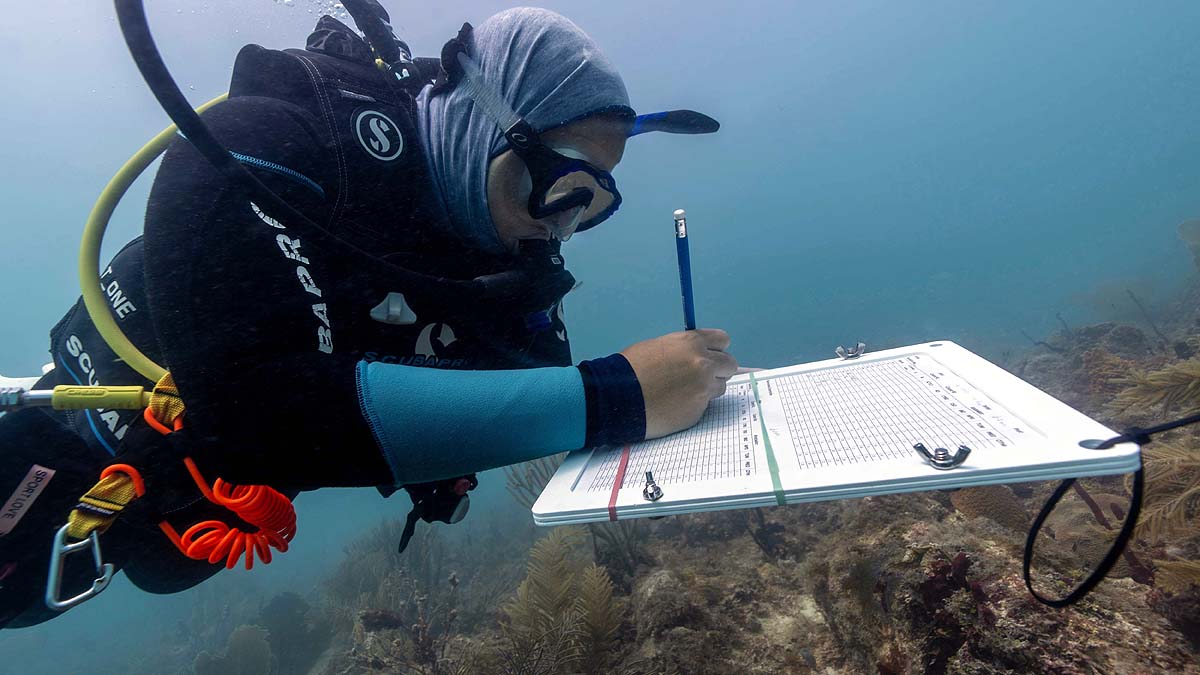 Coral Reef Restoration