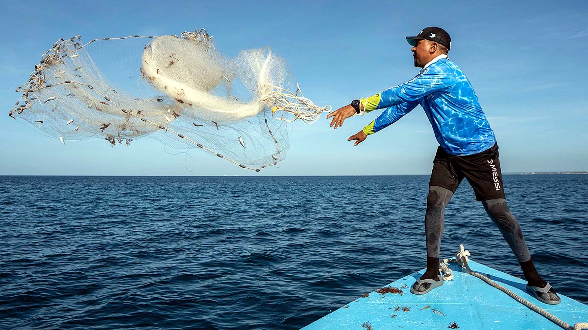 Coral Reef Restoration