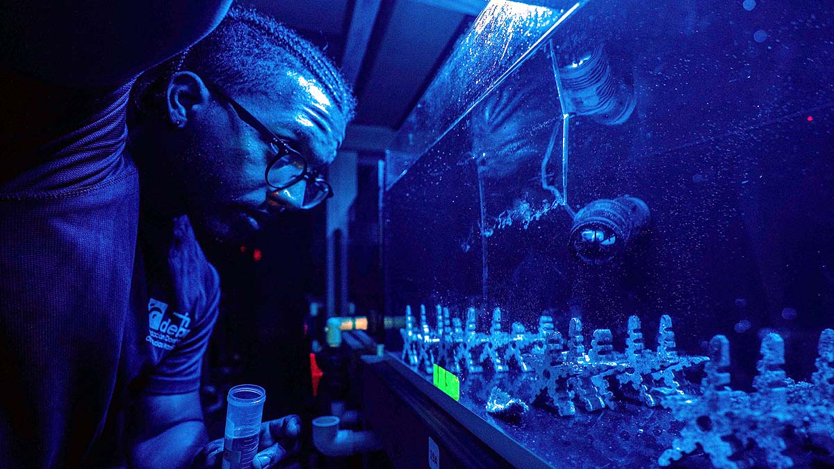 Coral Reef Restoration