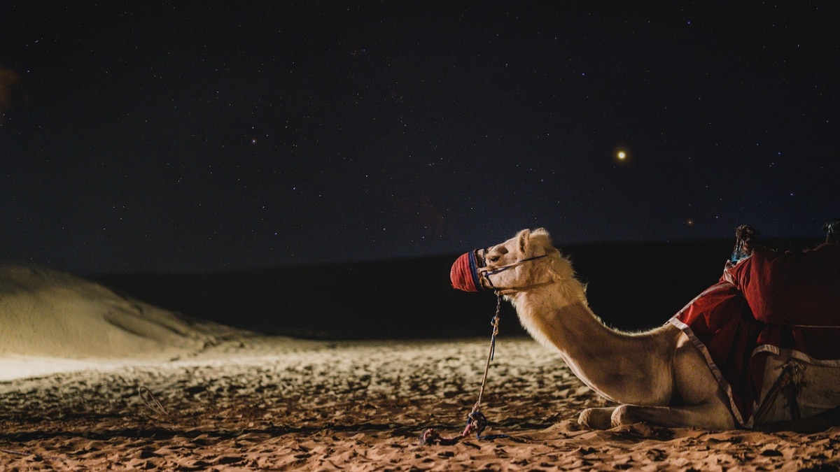 दुबई और अबू धाबी में फर्क