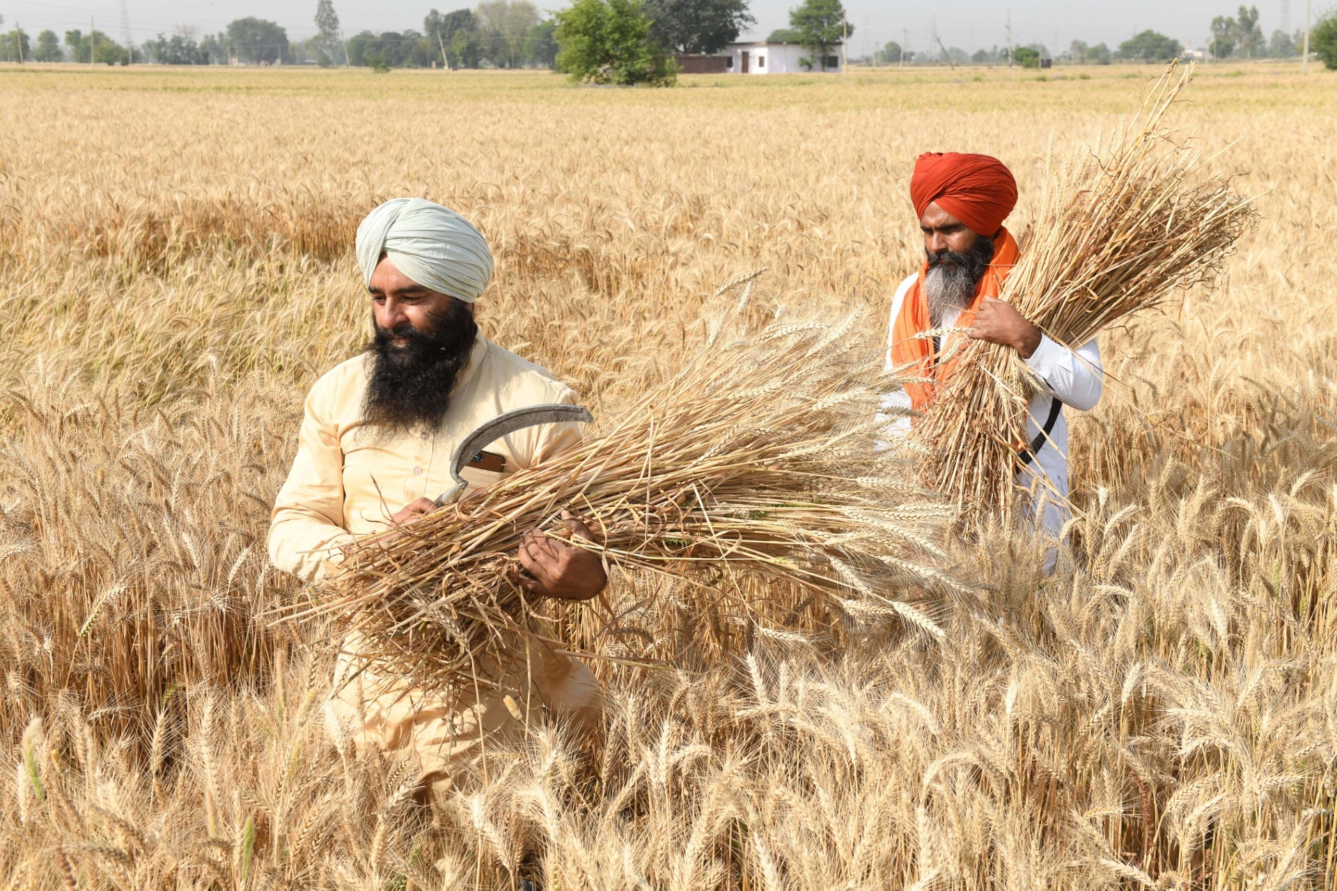 Sarkari Yojana for Farmers (File Photo- AFP)