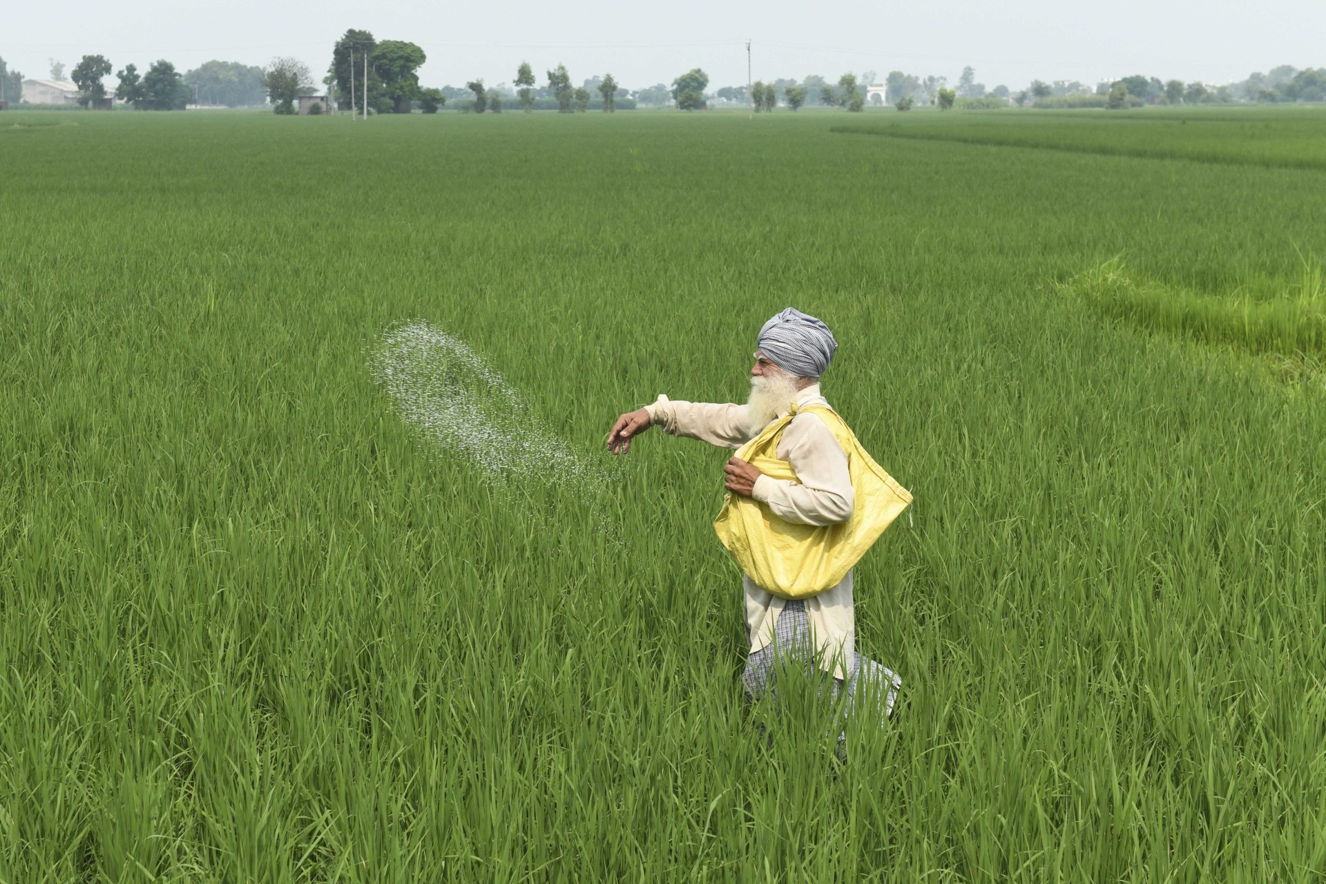 Indian farmer (File Photo- AFP)