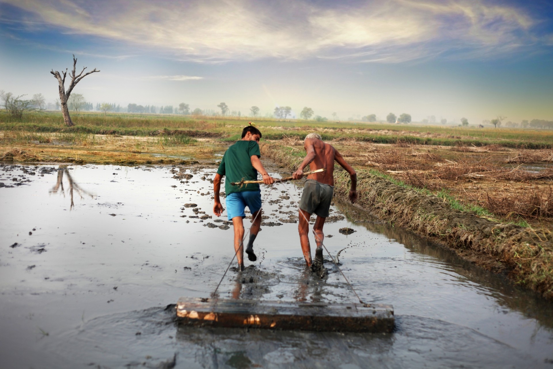 Govt Fund For Farmers (Getty Image)