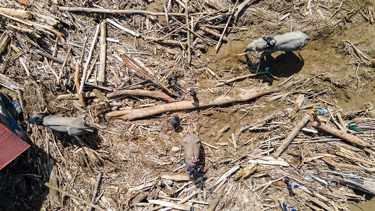 Sumatra Flood Elephants