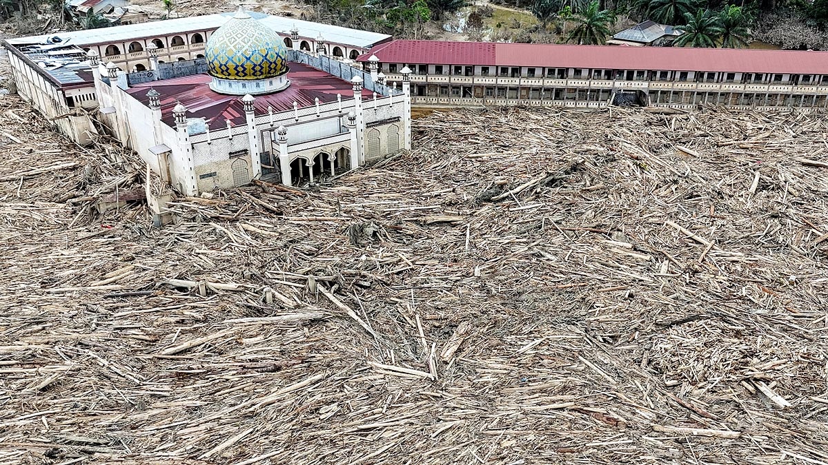 Sumatra Flood Elephants