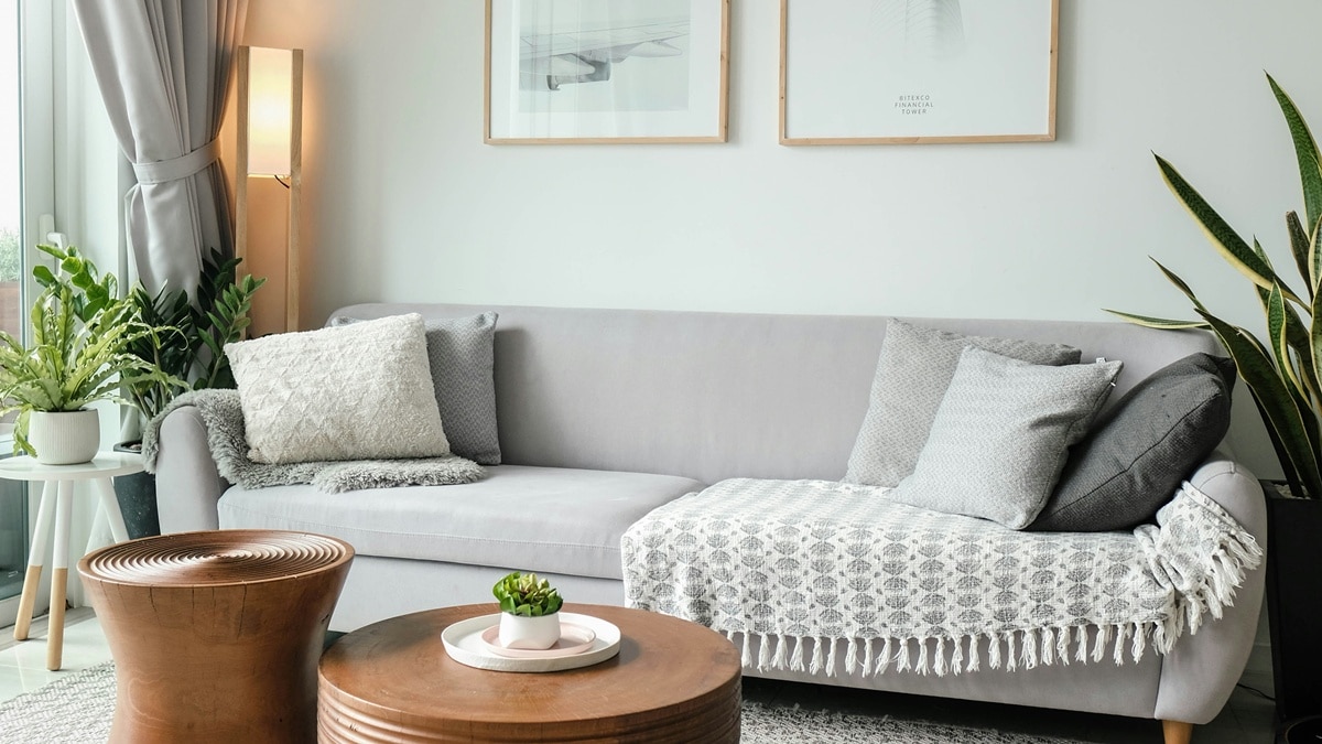 सफाई का ध्यान रखें 