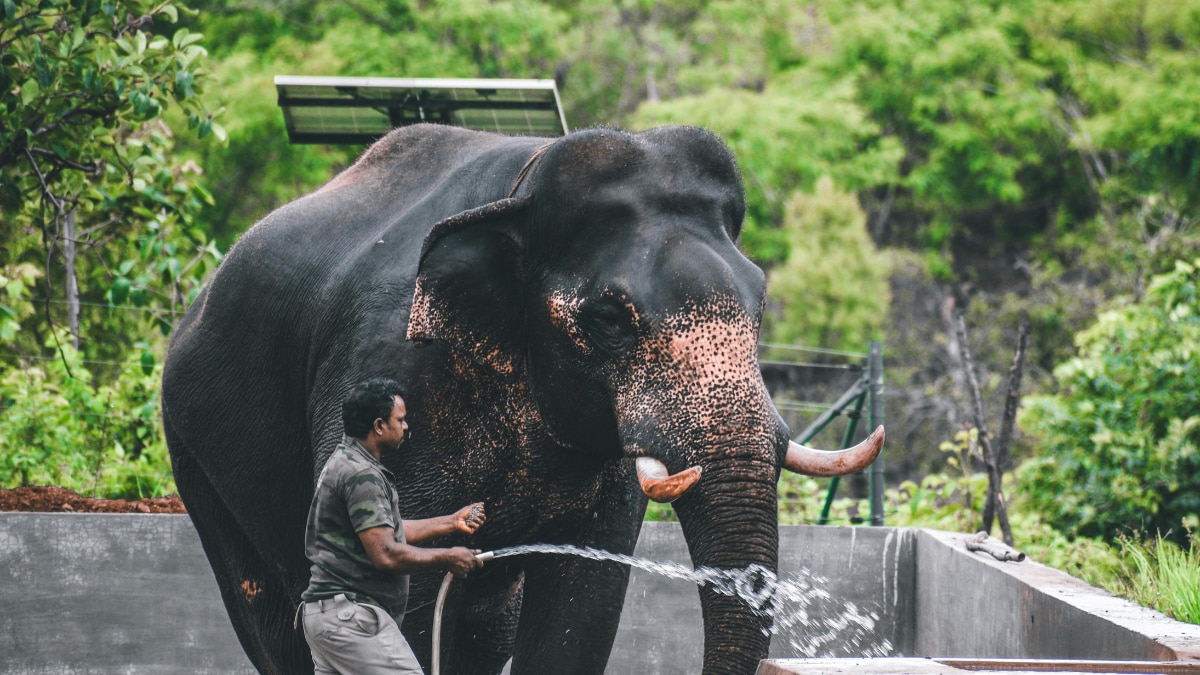 Madikeri best places to visit