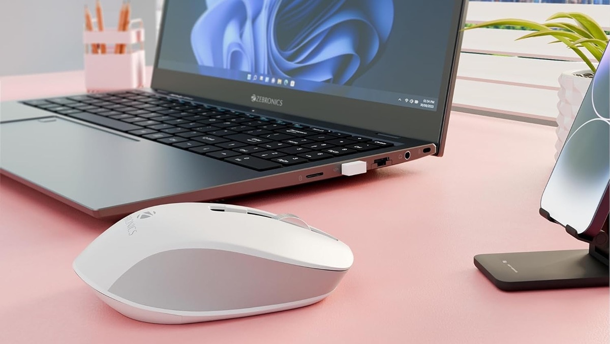 Best wireless mouse Zebronics 