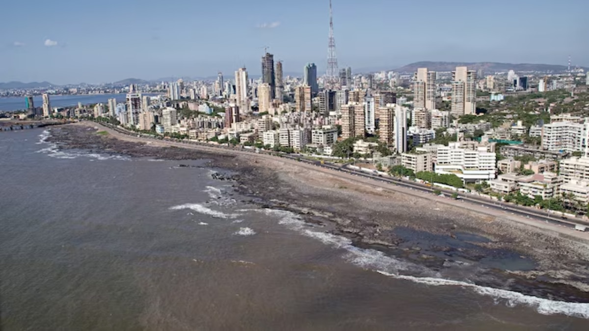  Leena is the chairperson of USV