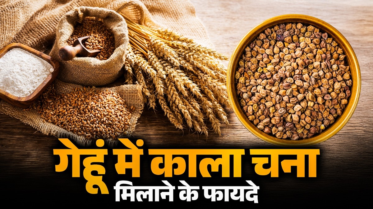 Black Gram Is Mixed With Wheat