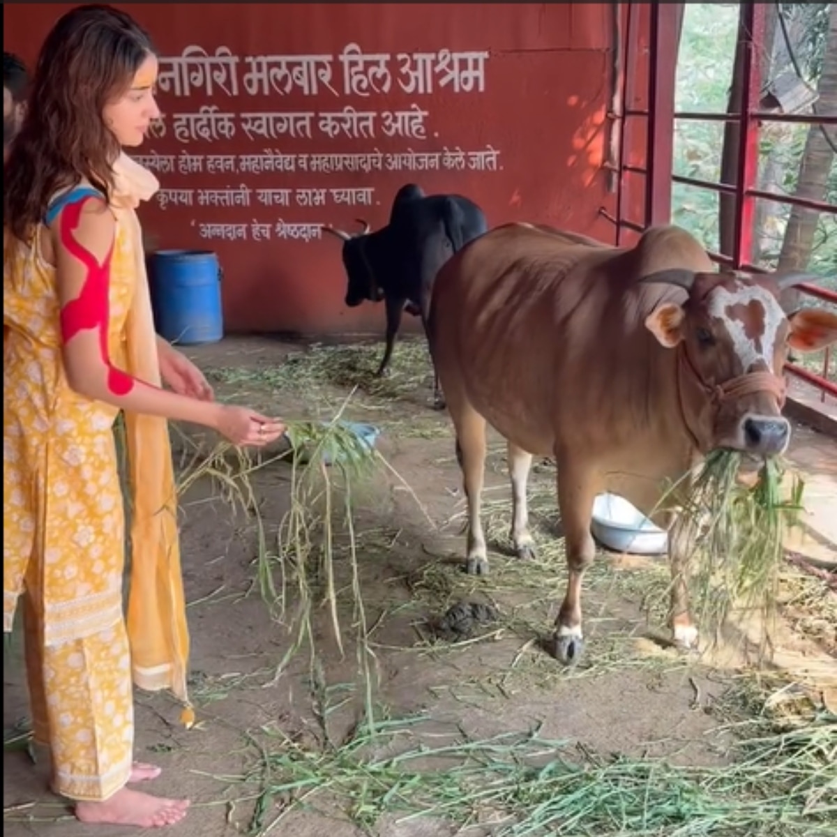 अनन्या पांडे