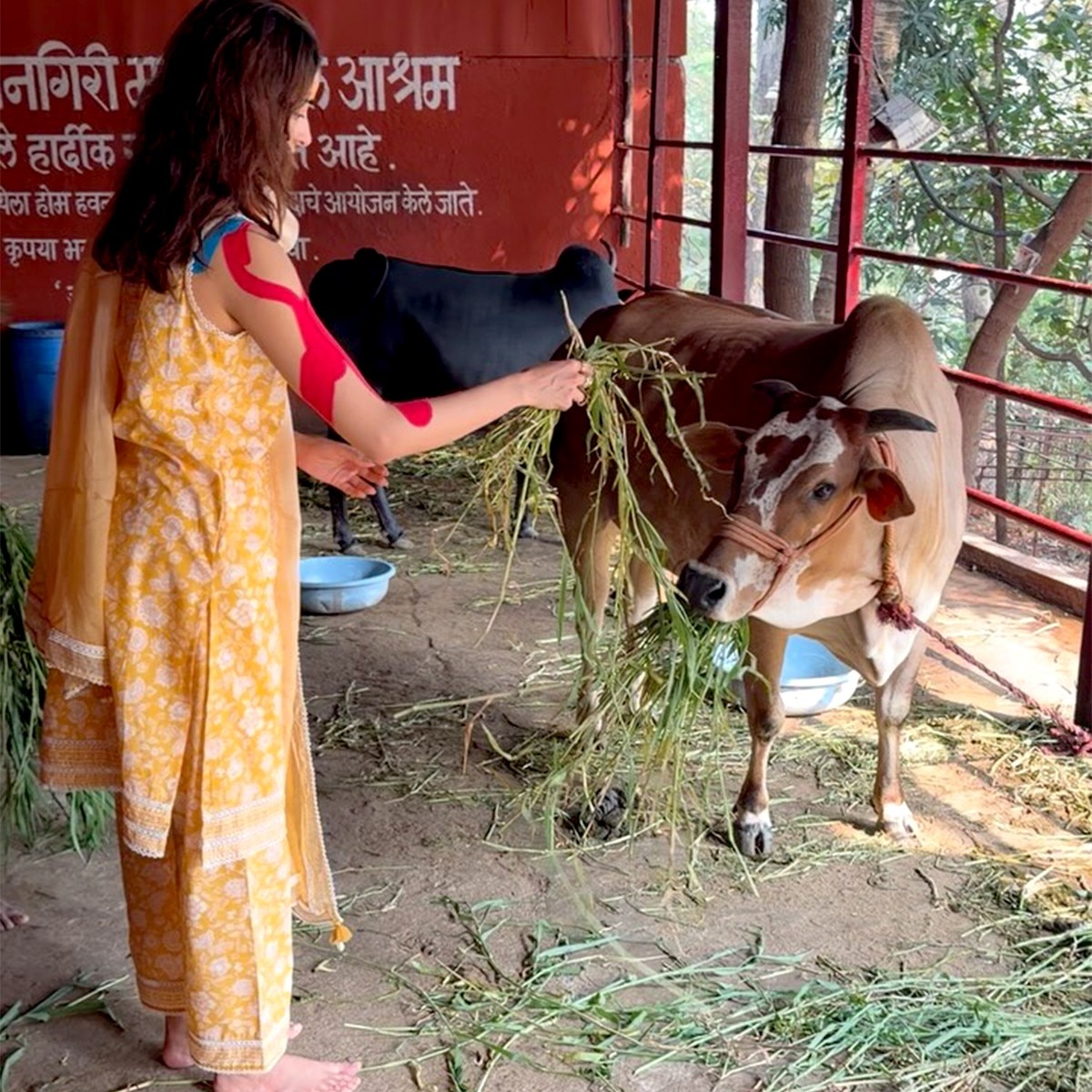 अनन्या पांडे