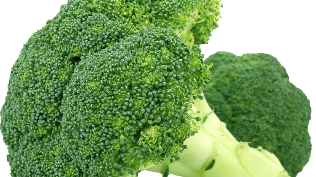 ब्रोकली 