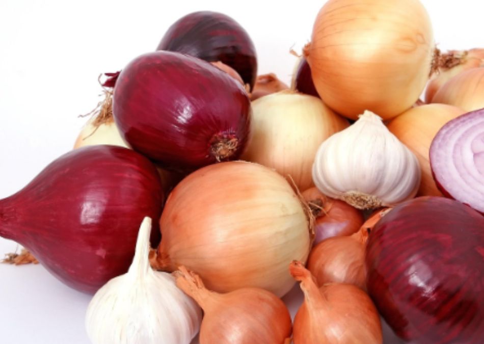 Makar Sankranti 2026 