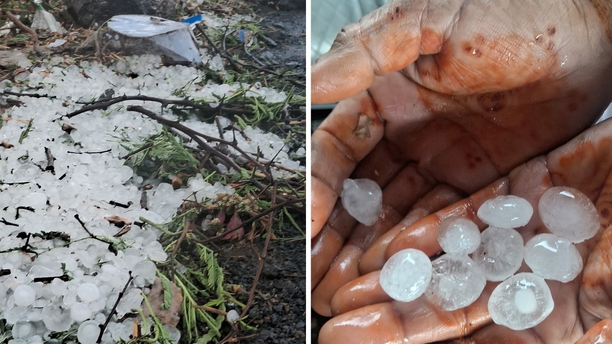 Madhya Pradesh Farmers Weather Alert