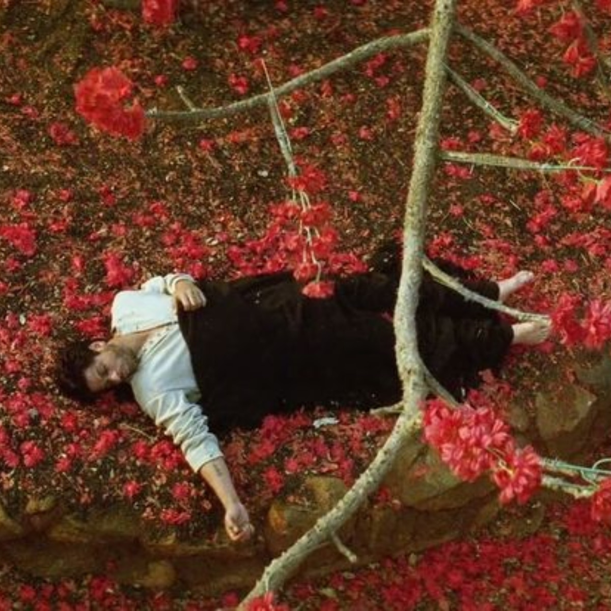 देवदास में शाहरुख खान