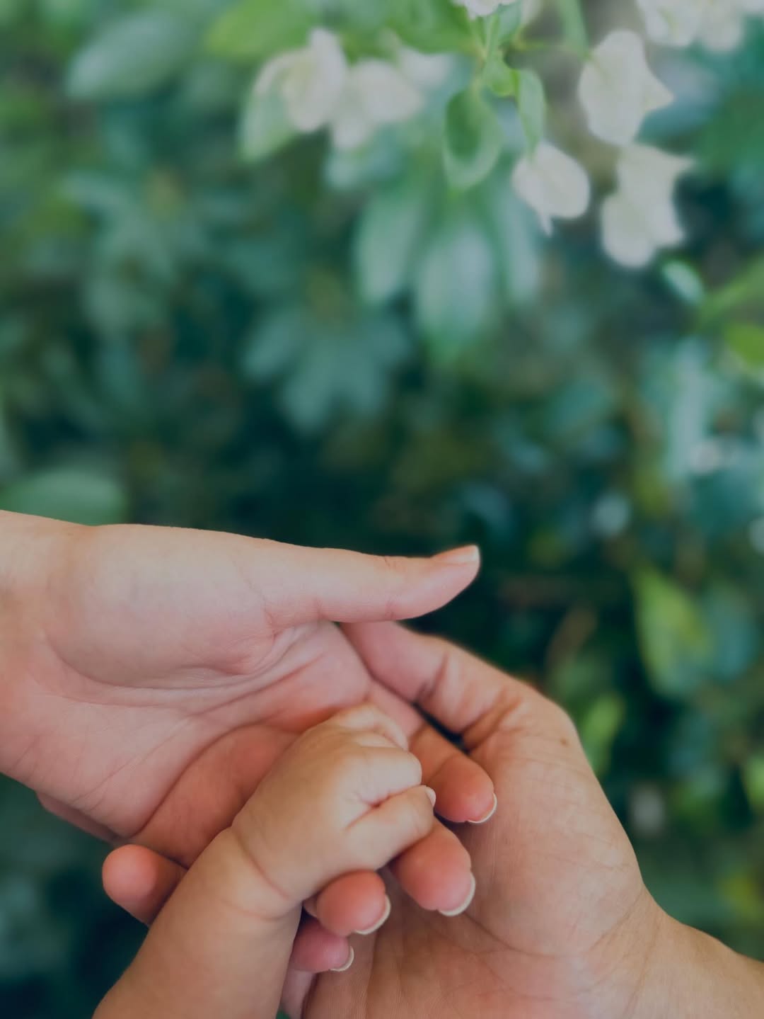 कटरीना कैफ