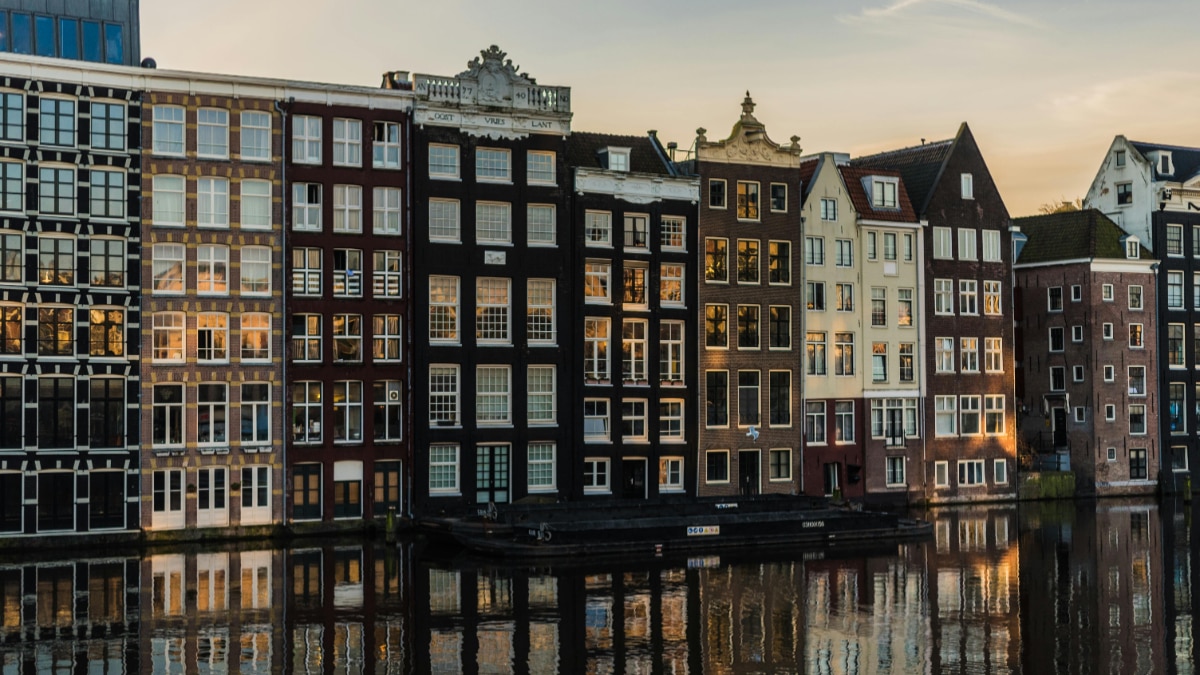 ट्यूलिप का देश