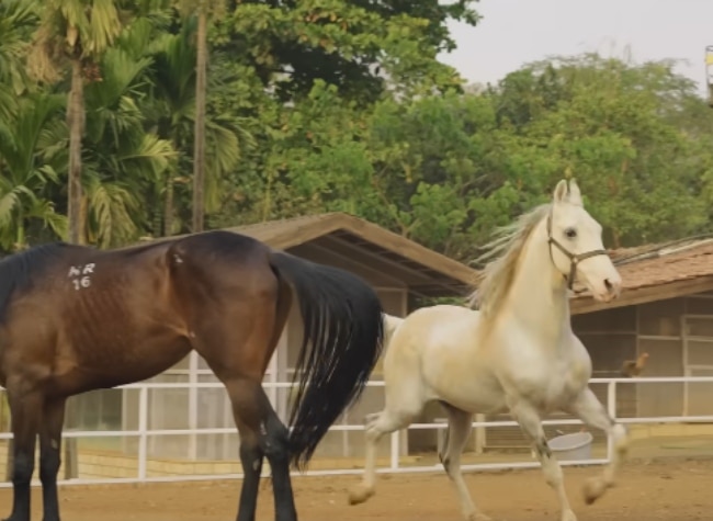 रजत बेदी का फार्म हाउस