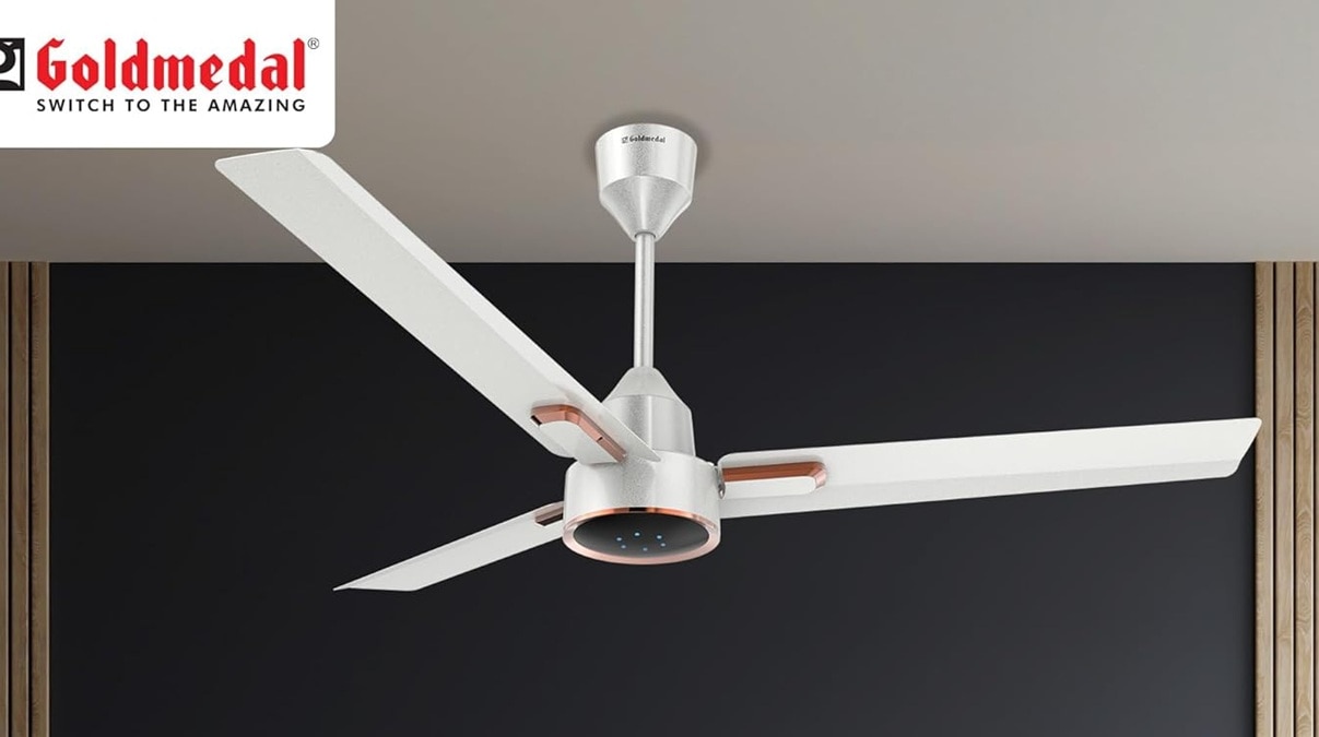 Fans with remote control Goldmedal 