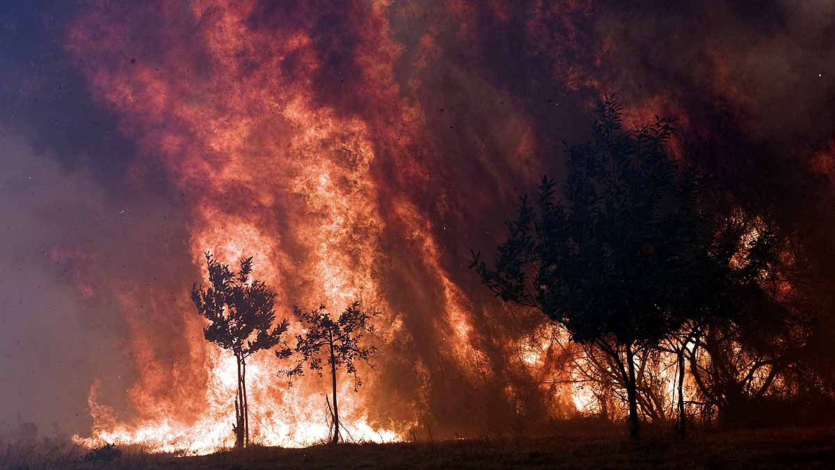 Eleven Hottest Years