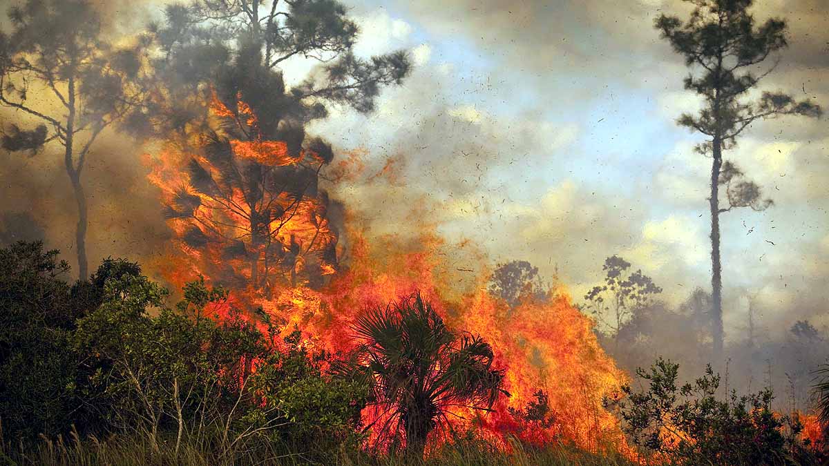 Eleven Hottest Years