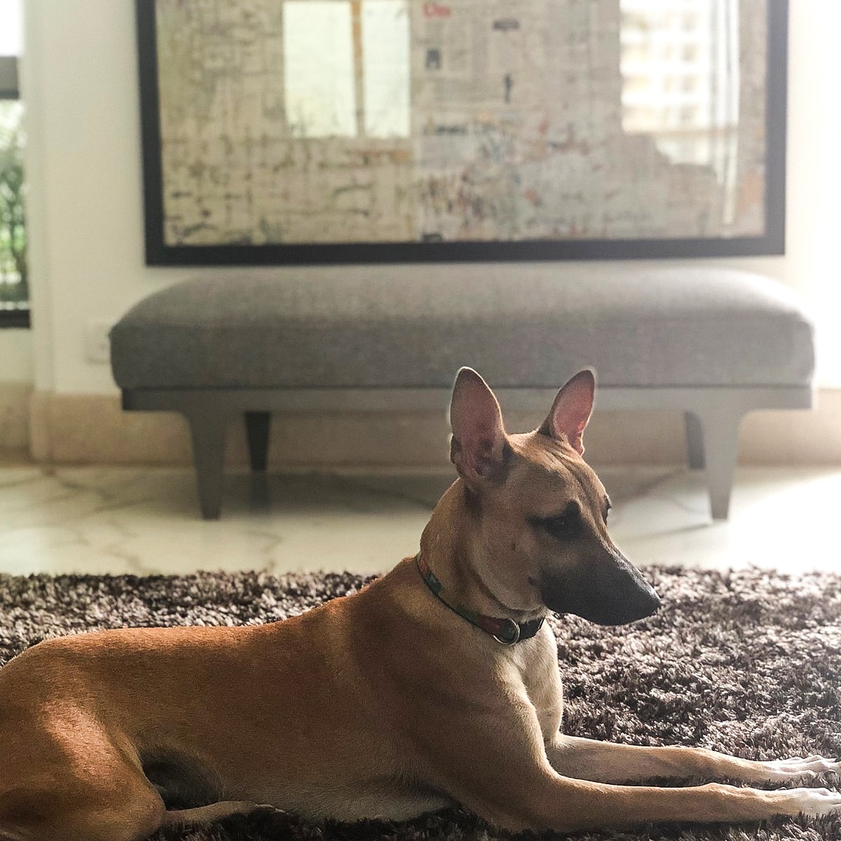 अर्जुन रामपाल का घर