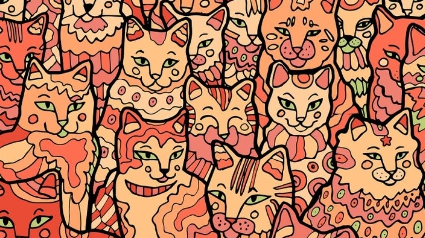 आपको 10 सेकंड के अंदर छिपे  Star को खोजना है. ( Photo: Pinterest)