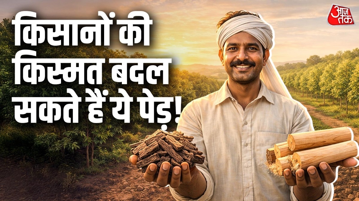 किसानों के लिए पेंशन का काम करेगी इन पेड़ों की खेती, सोने के भाव बिकती है लकड़ी