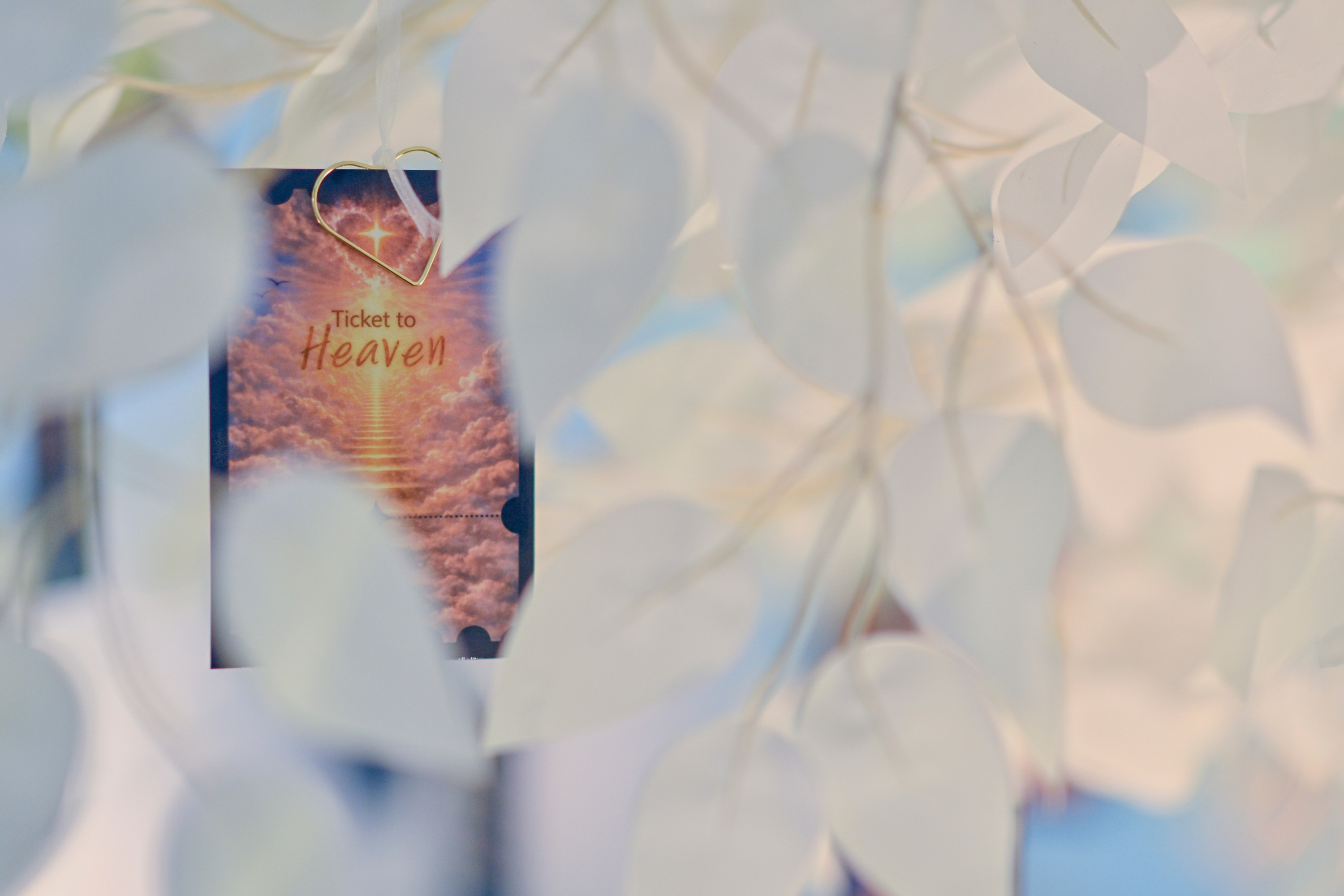 Thailand Death Festival