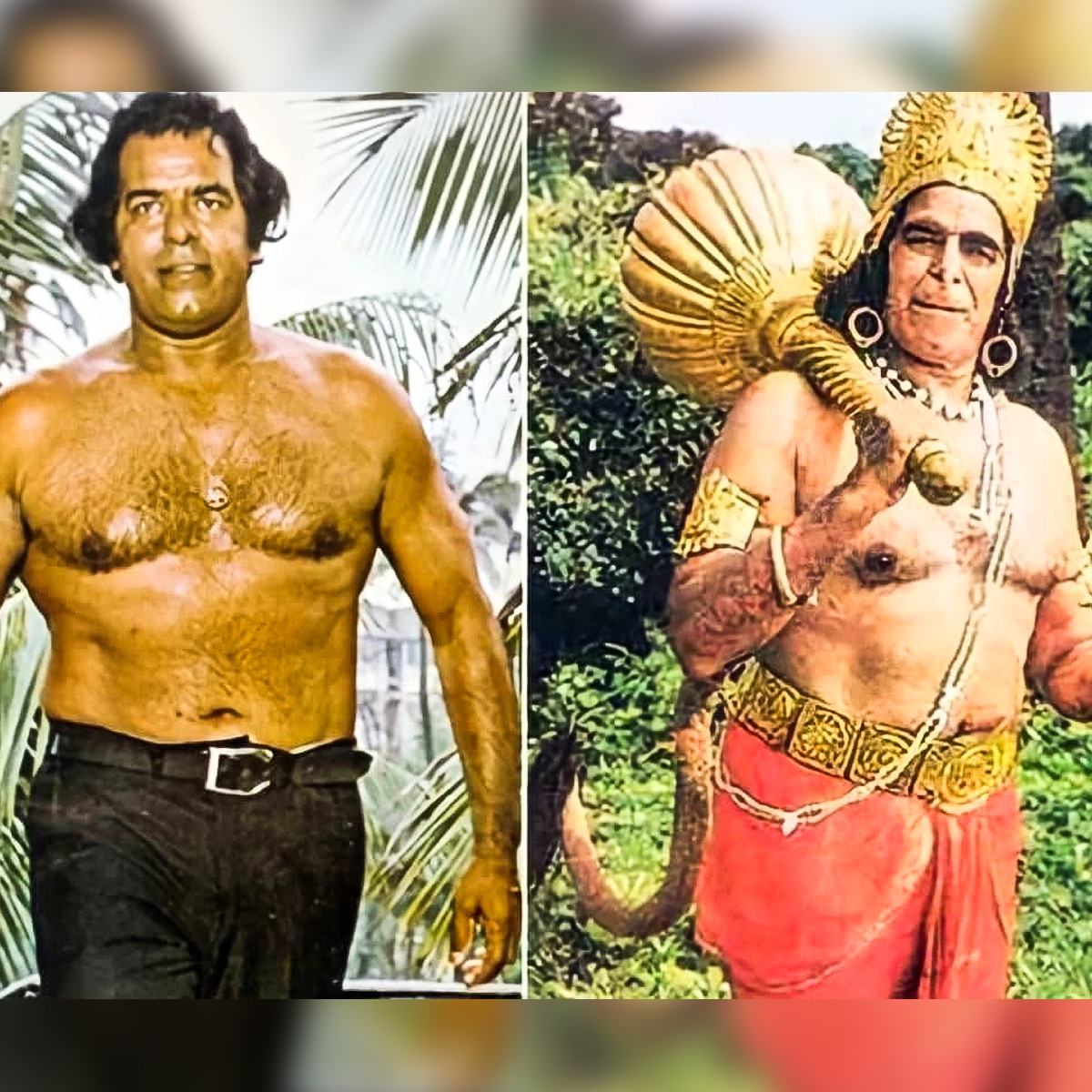 दारा सिंह