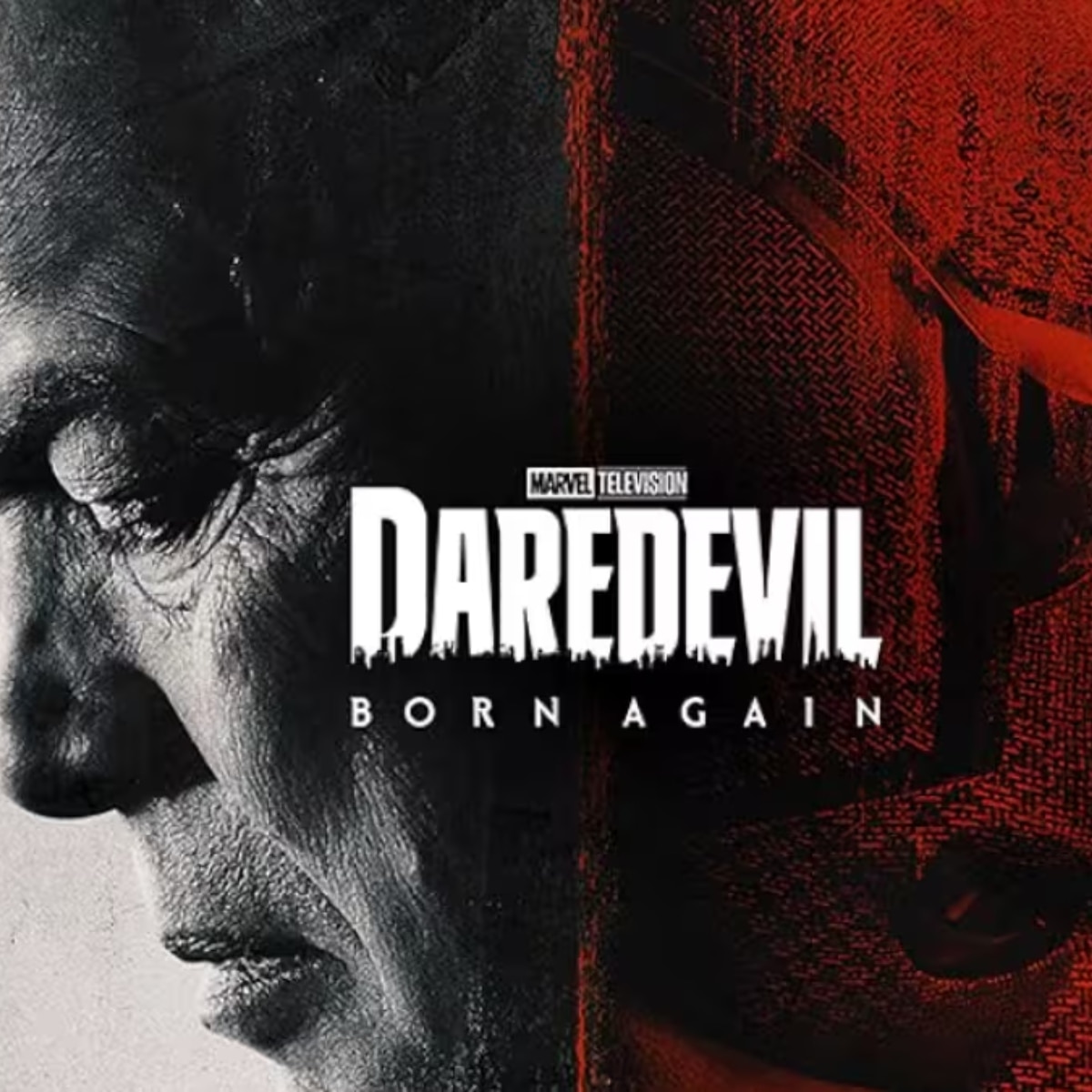 'डेयरडेविल बॉर्न अगेन'