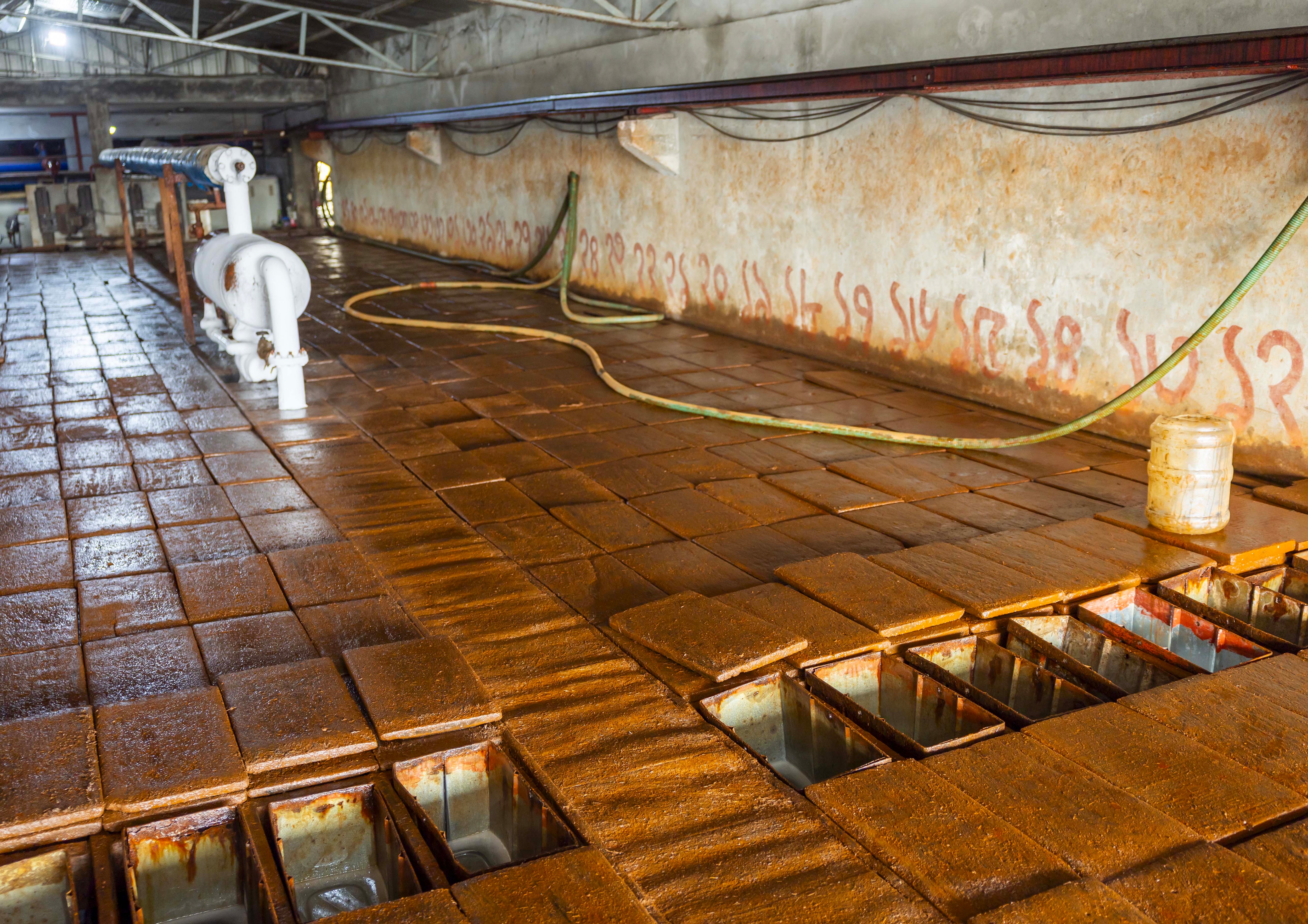 लाइसेंस की भी जरूरत