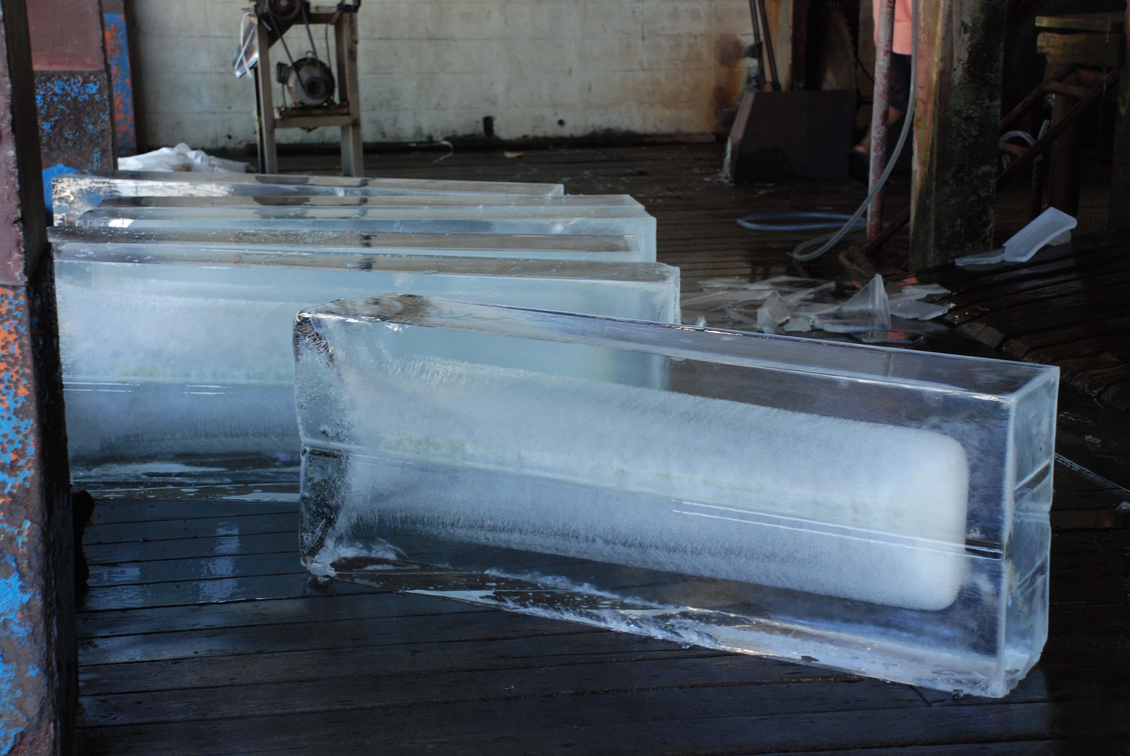 व्यस्त जगहों पर लगाएं प्लांट