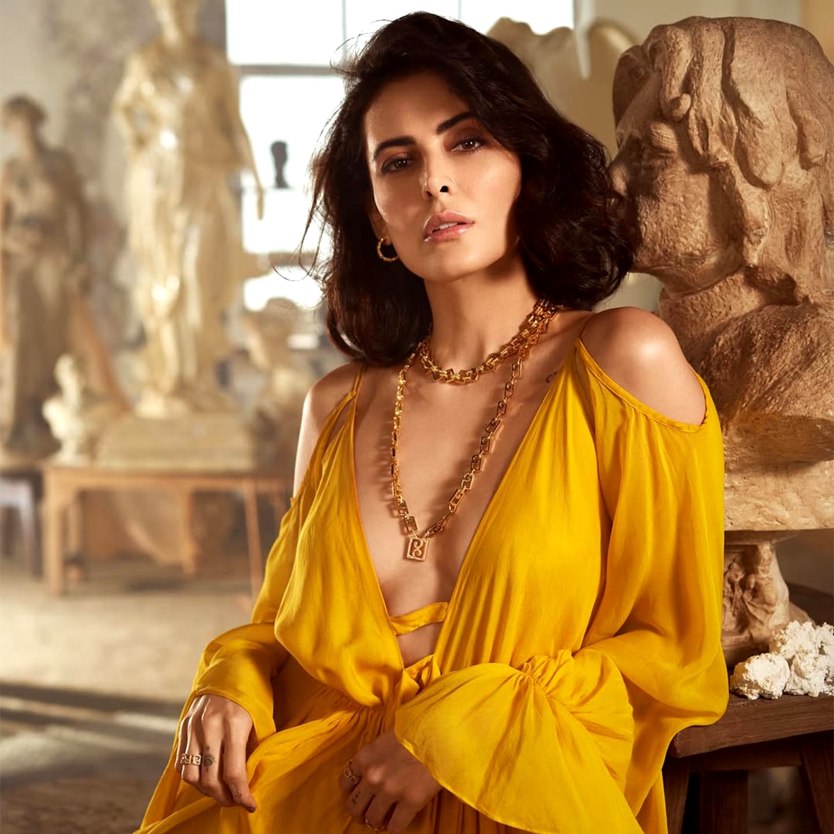 mandana karimi controversy