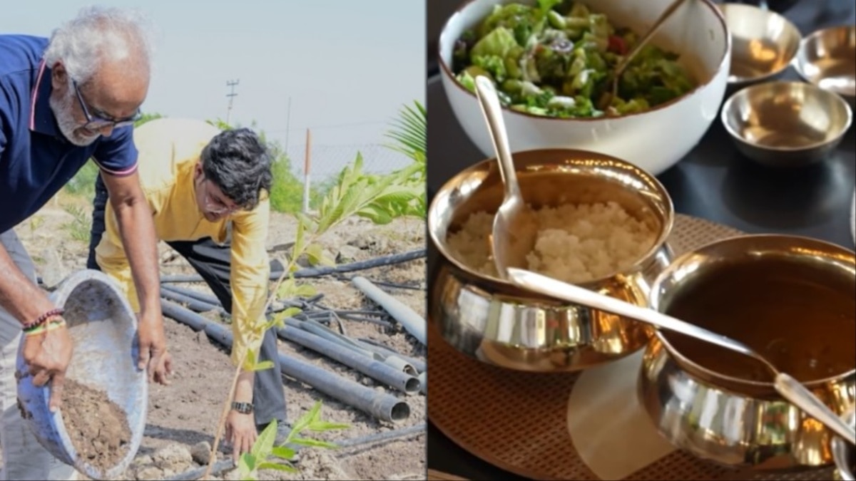 1.5 lakh trees and an Ayurvedic garden (Photo: Screengrab/YouTube/Curly Tales/Instagram@savjidholakia)