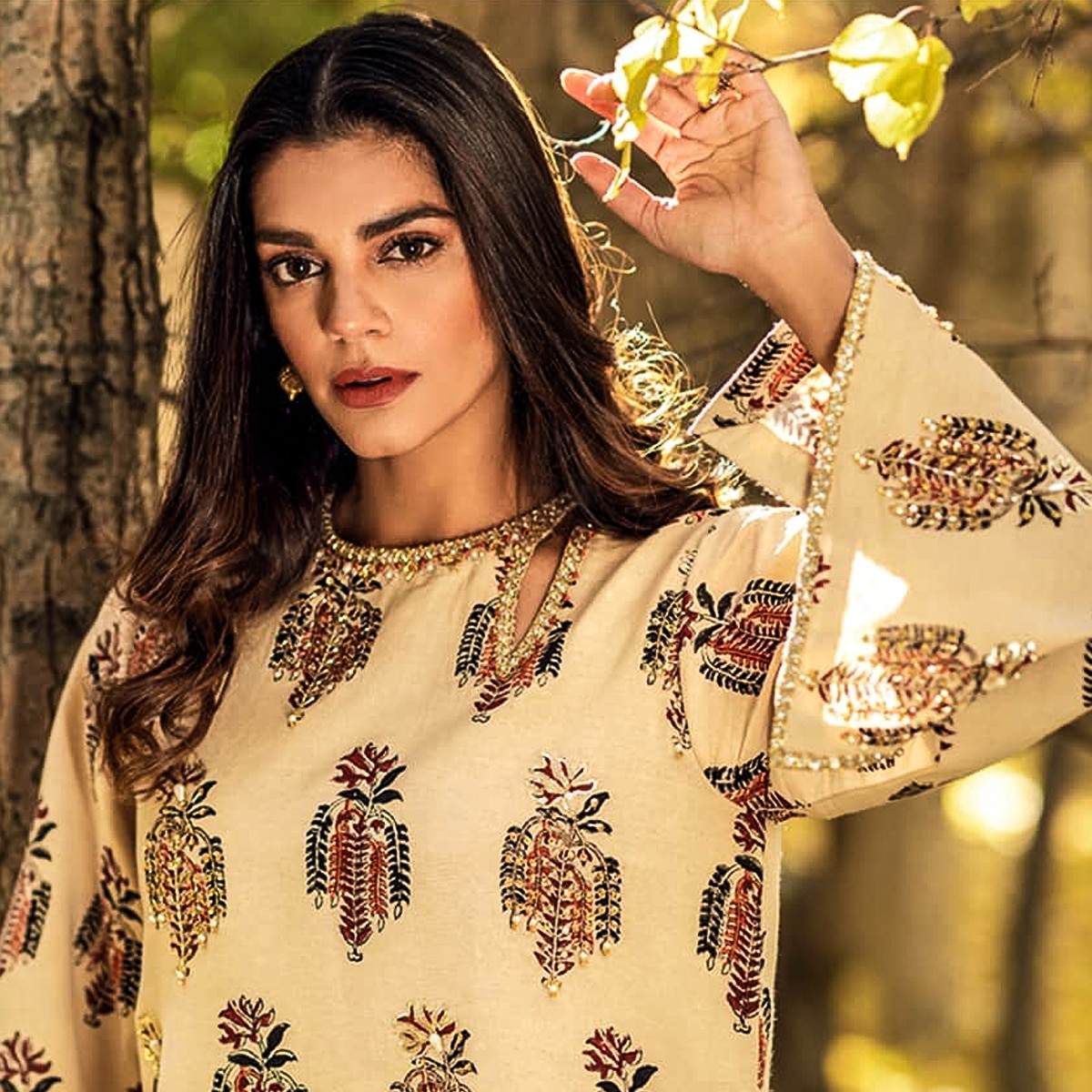 Pakistani Celebrities second marriages